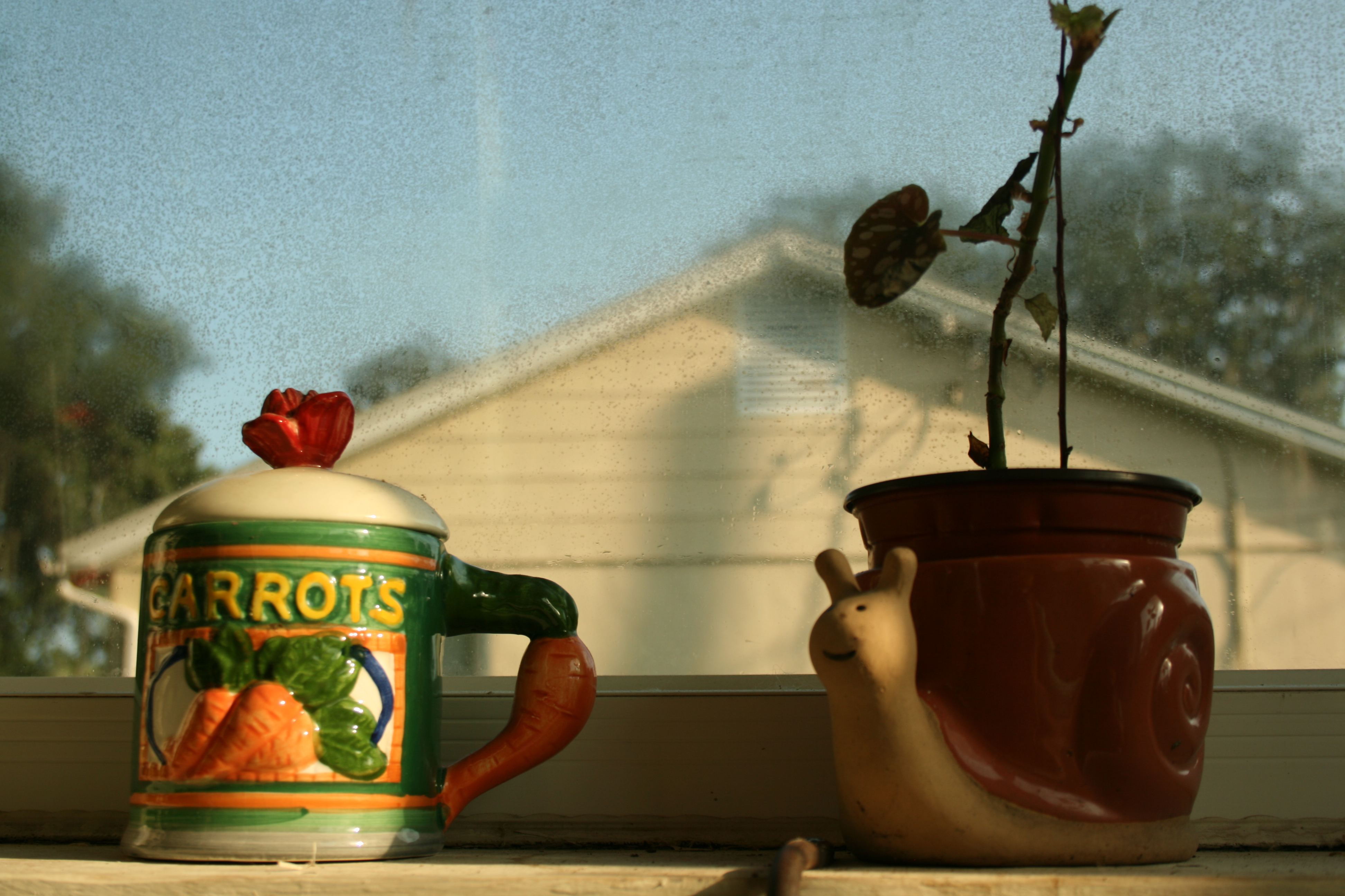Pots25"